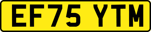 EF75YTM