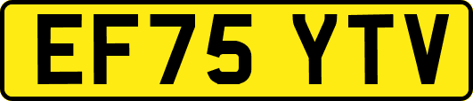 EF75YTV