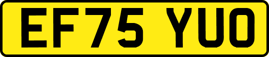 EF75YUO