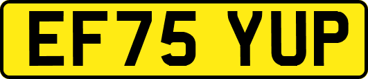 EF75YUP