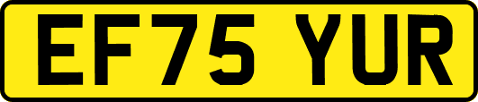 EF75YUR