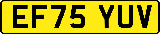 EF75YUV