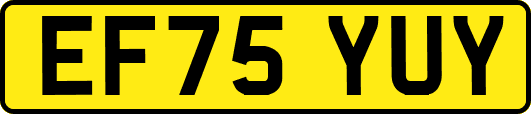 EF75YUY