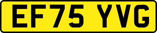 EF75YVG