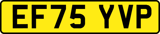 EF75YVP