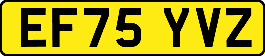 EF75YVZ