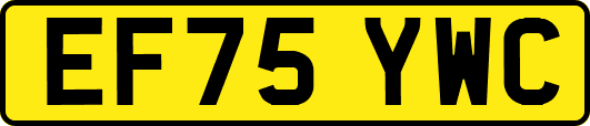 EF75YWC