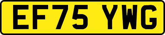 EF75YWG