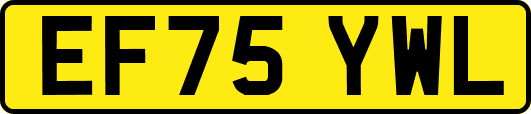 EF75YWL