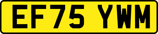 EF75YWM