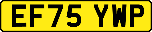EF75YWP
