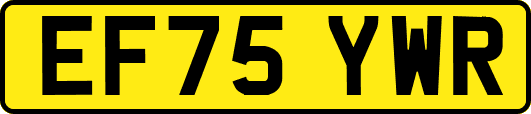 EF75YWR