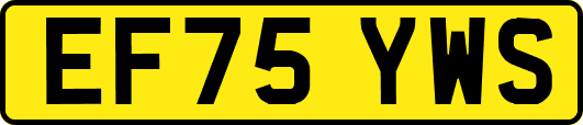 EF75YWS