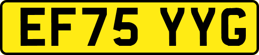 EF75YYG