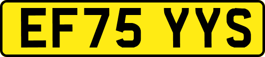 EF75YYS