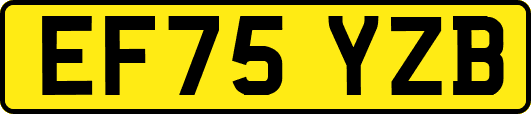 EF75YZB