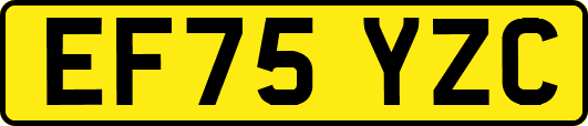 EF75YZC