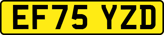 EF75YZD