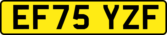 EF75YZF