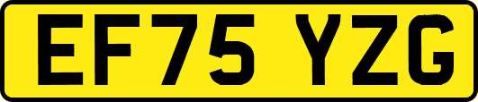EF75YZG