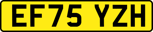 EF75YZH
