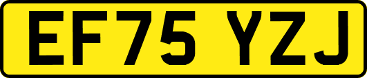 EF75YZJ
