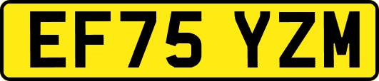 EF75YZM