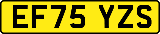 EF75YZS