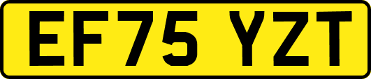 EF75YZT