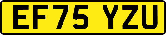 EF75YZU