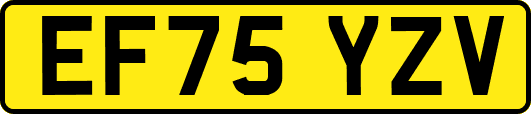 EF75YZV