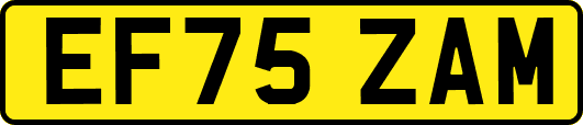 EF75ZAM