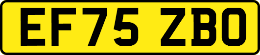 EF75ZBO