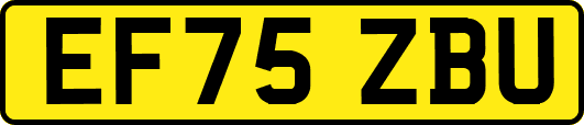 EF75ZBU
