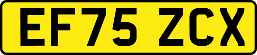 EF75ZCX