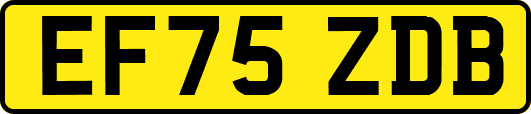 EF75ZDB