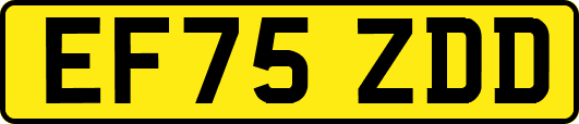 EF75ZDD