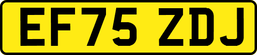 EF75ZDJ