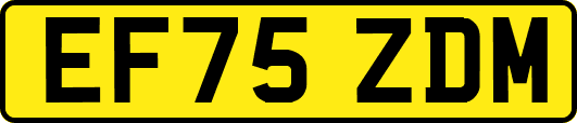 EF75ZDM
