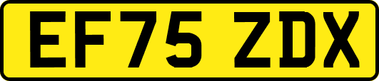 EF75ZDX