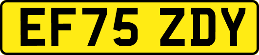EF75ZDY
