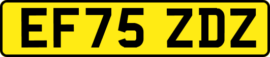 EF75ZDZ