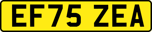 EF75ZEA