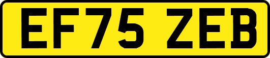 EF75ZEB