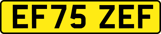 EF75ZEF