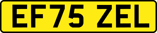 EF75ZEL
