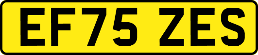 EF75ZES