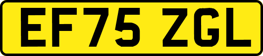 EF75ZGL