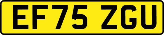 EF75ZGU
