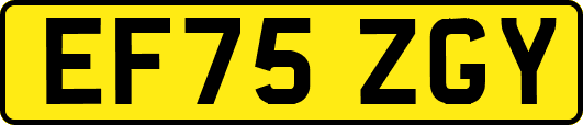 EF75ZGY